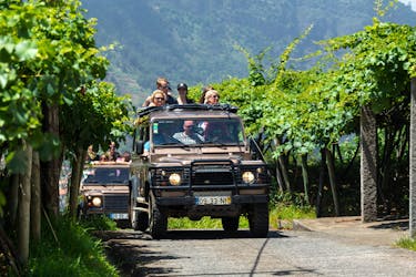 Madeira 4×4 Tour and Wine Tasting Experience